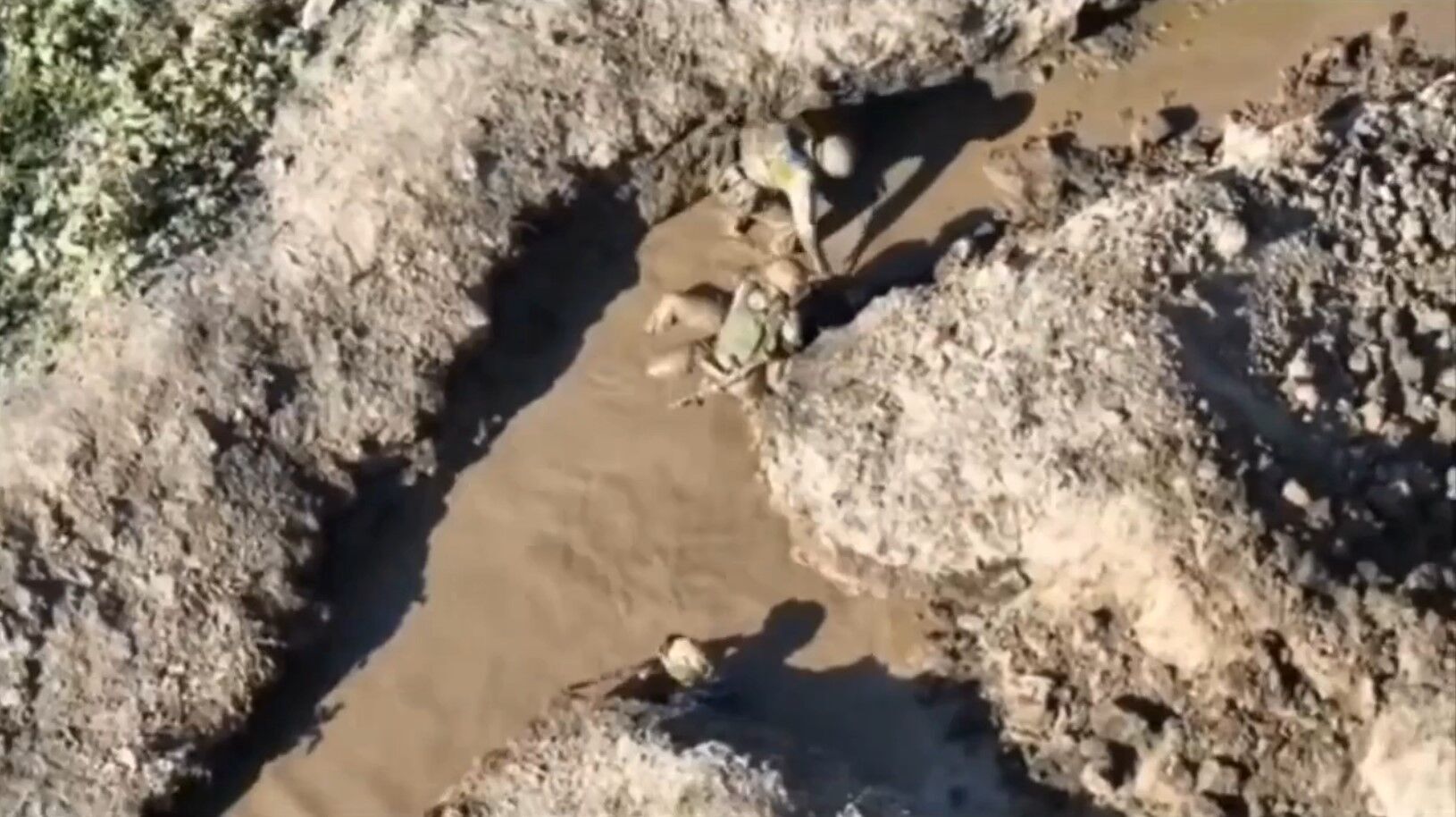 AFU soldiers prepare for assaults in extremely difficult conditions: footage of flooded trenches appeared 