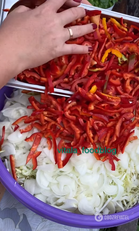 Healthy pickled cabbage and pepper salad that can be eaten the next day