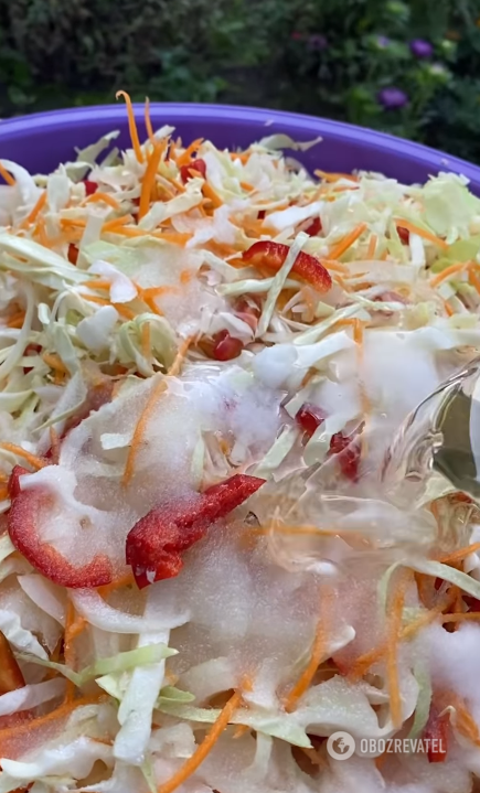 Healthy pickled cabbage and pepper salad that can be eaten the next day