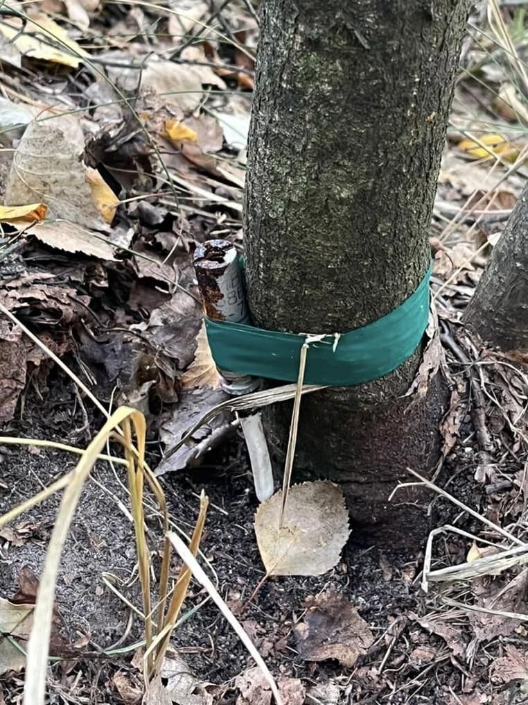 In Kyiv region, a man went to the forest and found a tripwire instead of mushrooms. Photo