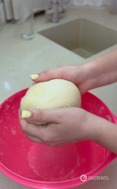 Sweet braid with plum filling: how to make fluffy dough