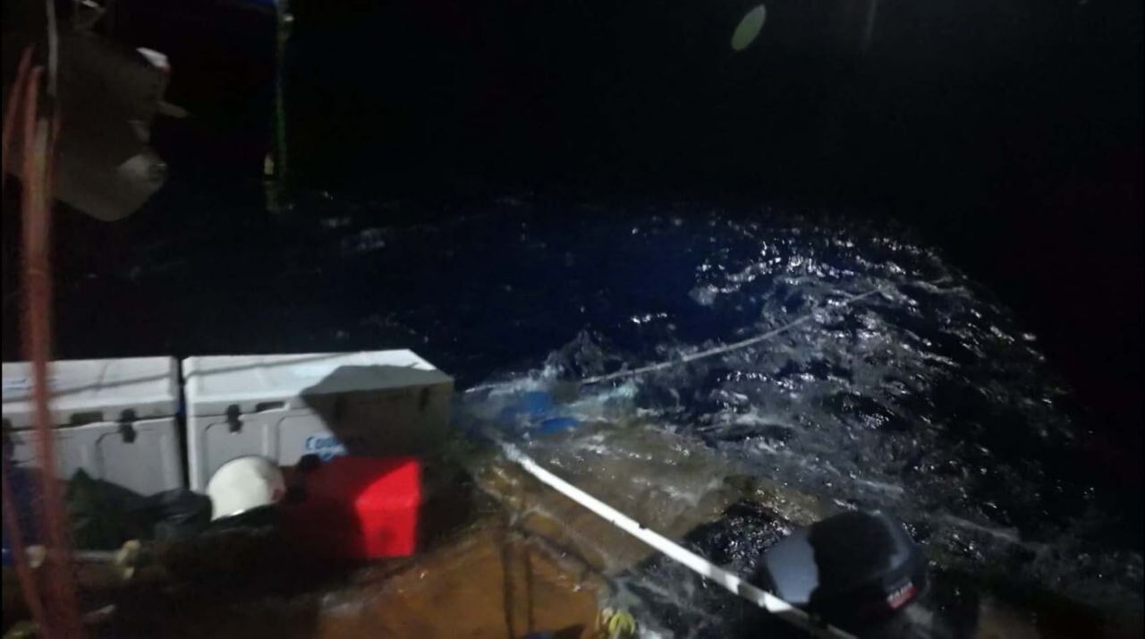 Sharks attacked a catamaran with Russians off the coast of Australia. Photo