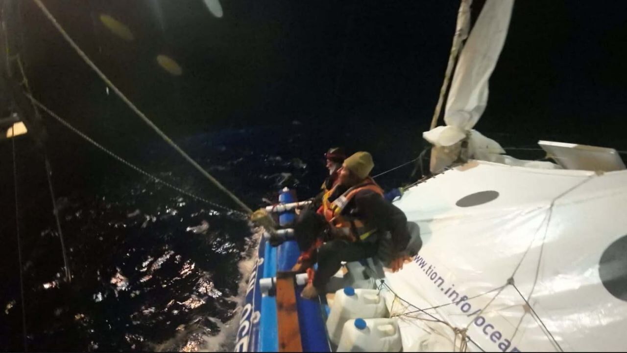 Sharks attacked a catamaran with Russians off the coast of Australia. Photo
