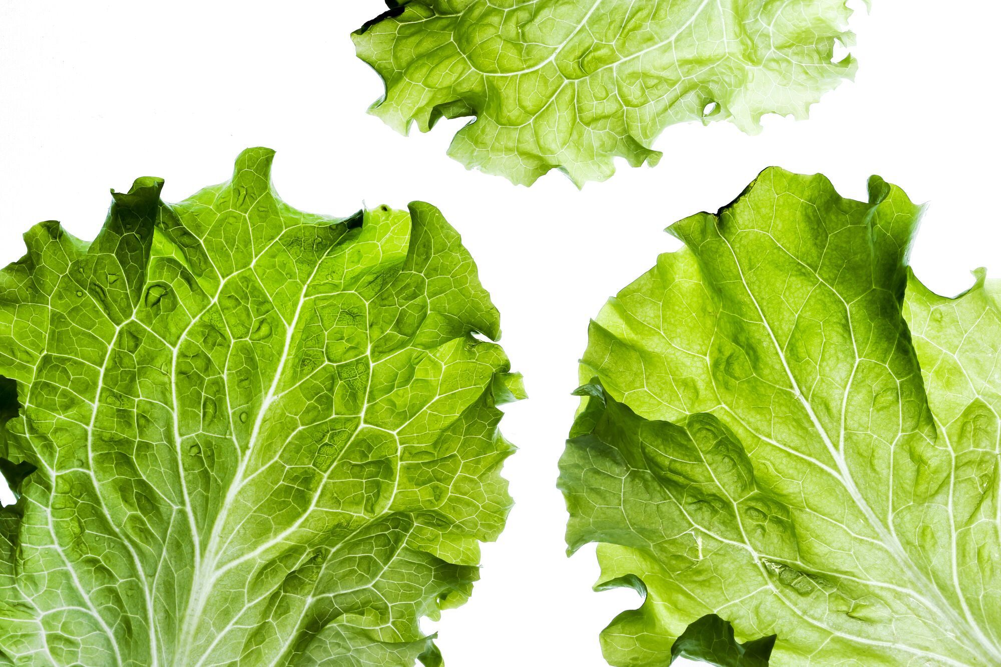 8 vegetables that can be eaten raw are named: you will definitely be surprised