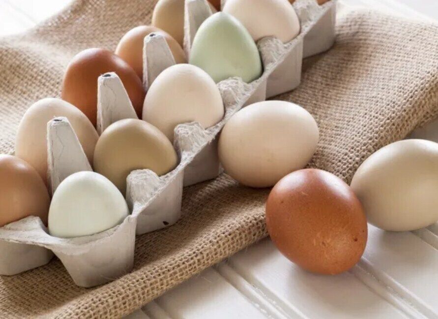 Don't throw it away! Who invented the cardboard packaging for eggs and how it can be used in the household
