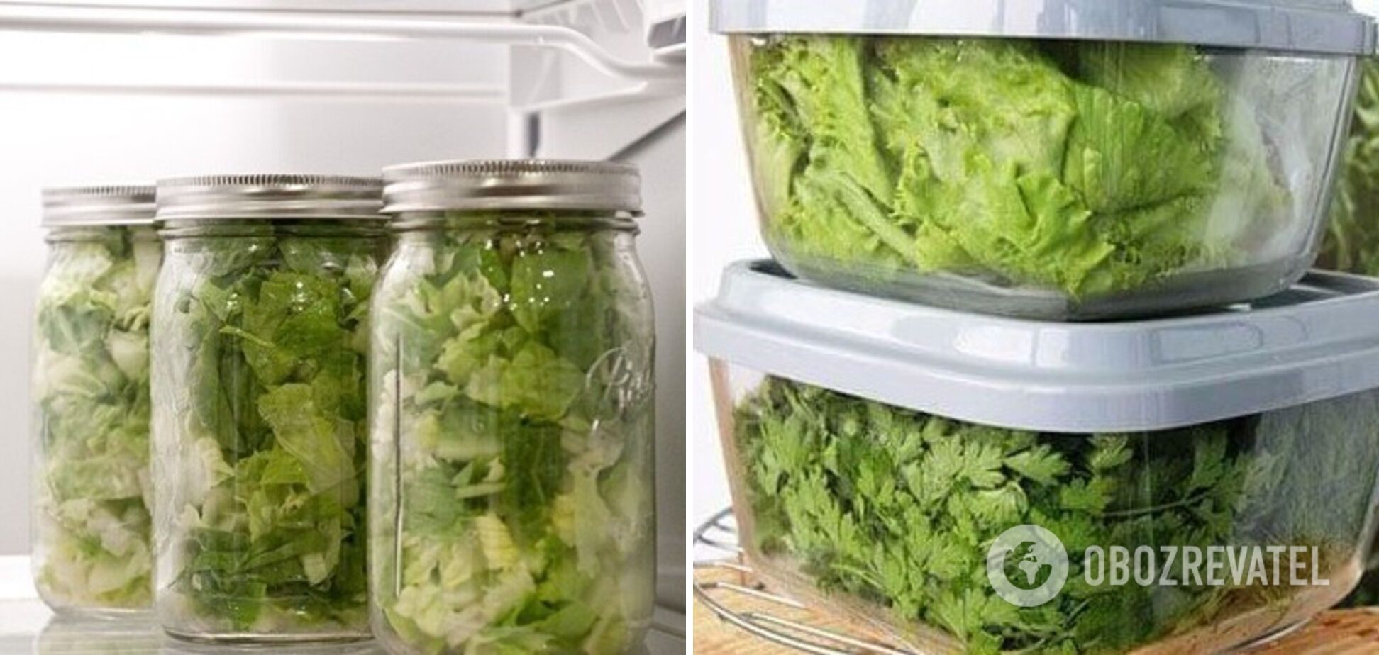 Storage of herbs in glass and plastic containers