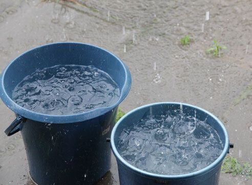 Germans collect rainwater