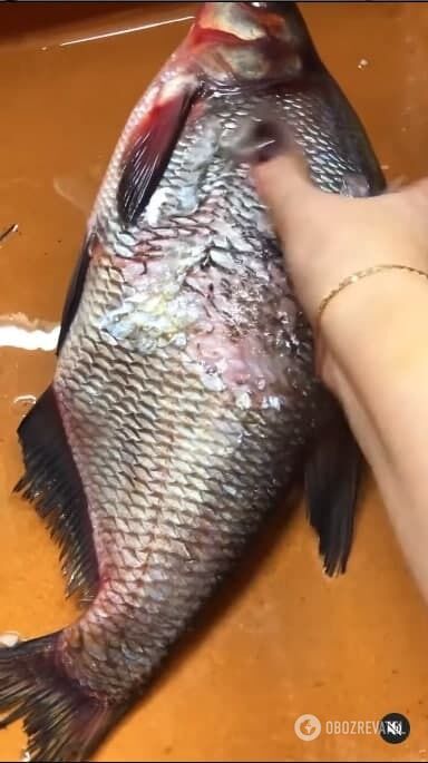 Technology for cleaning fish with scales