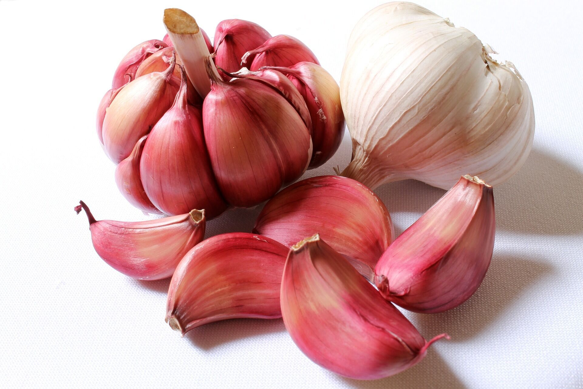 Garlic for dishes