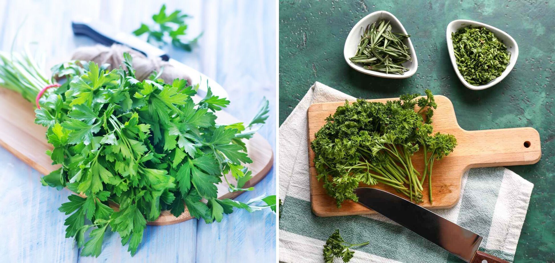 The most unhealthy greens have been named: don't eat them too often