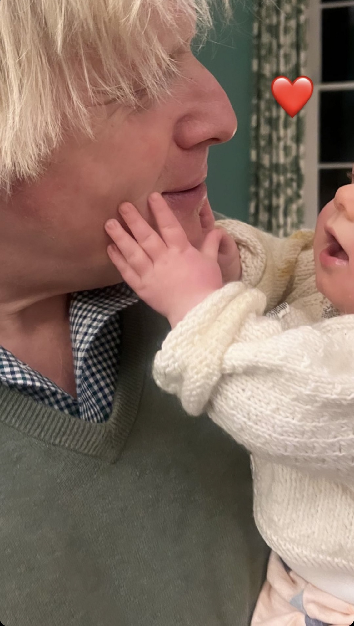 Boris Johnson's wife has documented the affectionate bond between him and their 6-month-old son: look like two peas in a pod. Photo