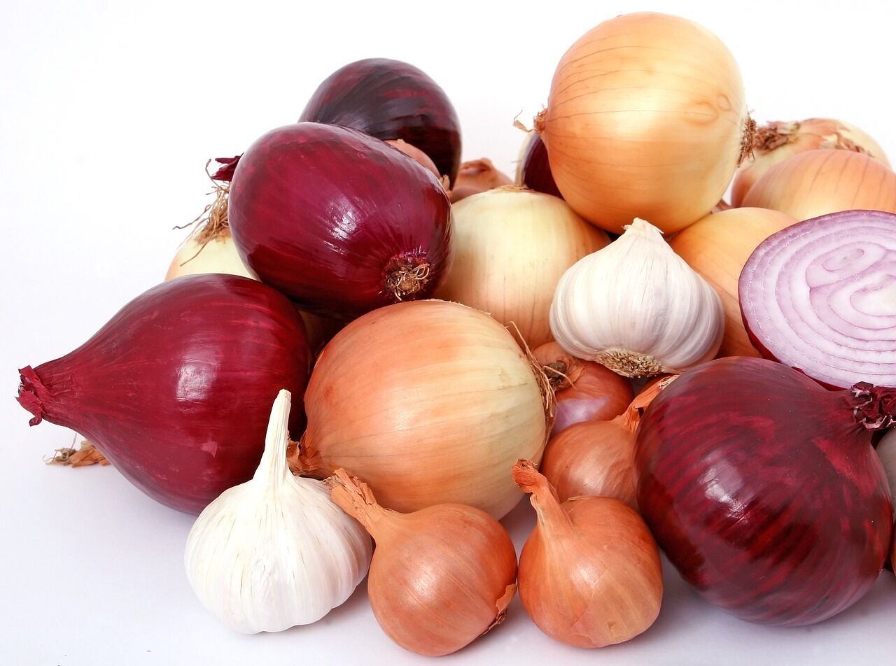 How to keep onions and garlic fresh for more than six months: an effective way