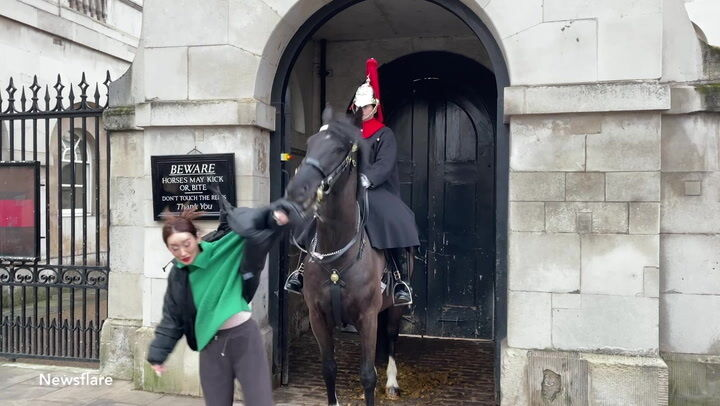 In London, a horse of the Royal Guard bit and tore off a tourist's coat as she posed for a photo in front of a symbolic sign