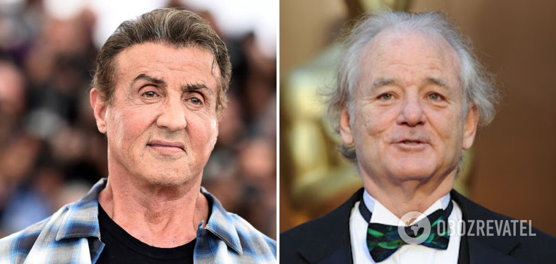 The nominees for the Golden Raspberry 2024 anti-award have been announced: Sylvester Stallone, Chris Evans, Jennifer Lopez and Salma Hayek may be the worst
