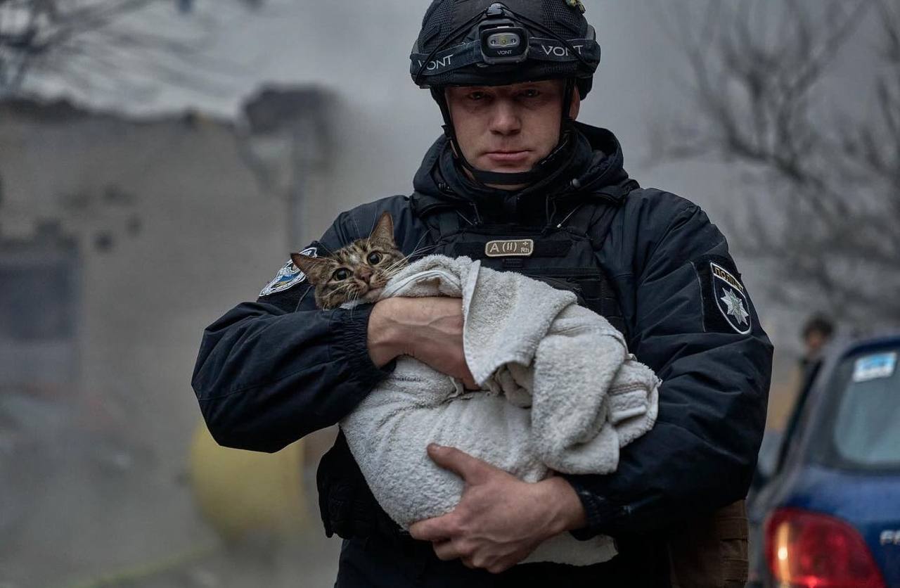 ''He grabbed it, hugged it, and went downstairs'': a policeman with a cat rescued in Kyiv touched social media. Photos and videos