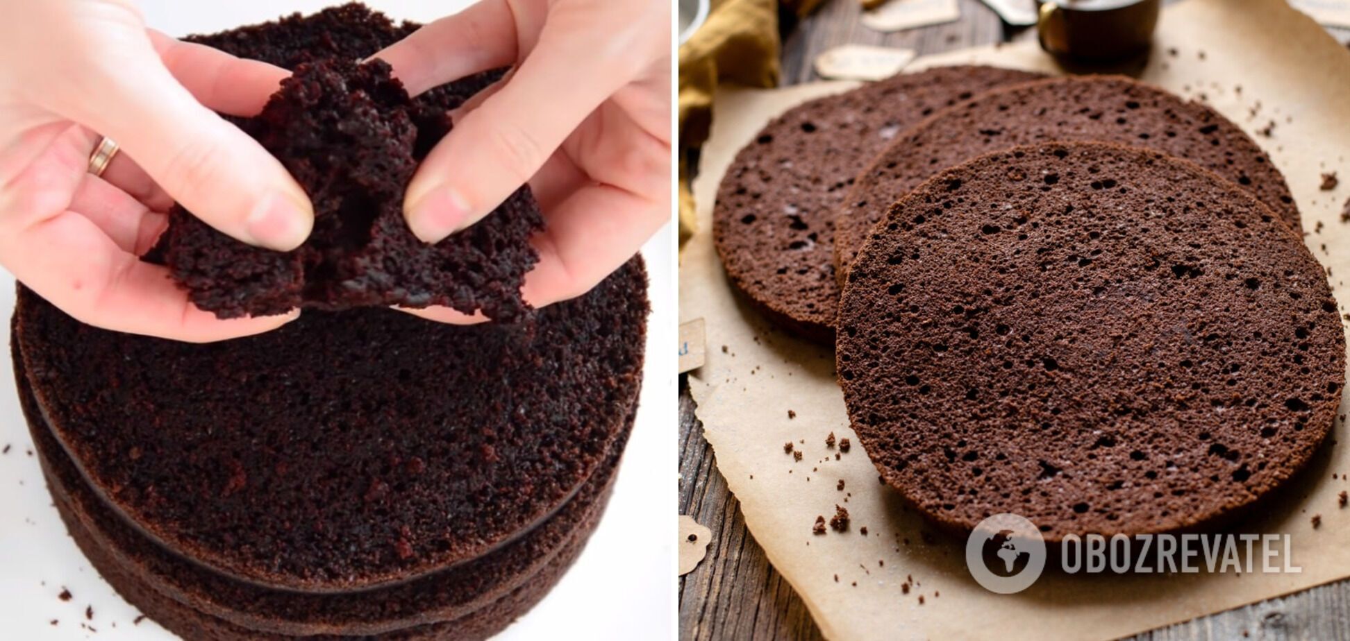 Chocolate sponge cakes