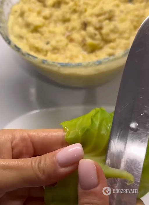 What to cook cabbage rolls with besides meat: a hearty and budget-friendly option