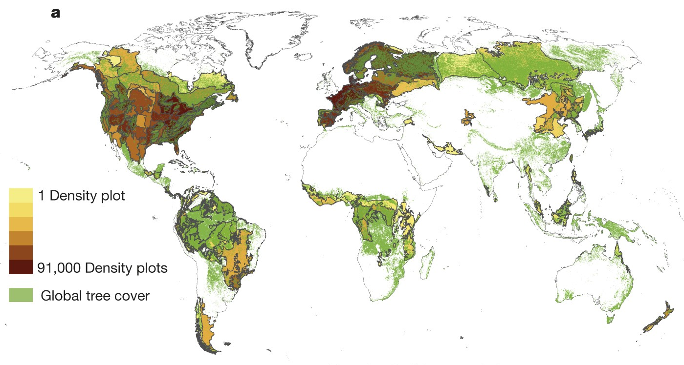 Map of the distribution of trees on Earth.