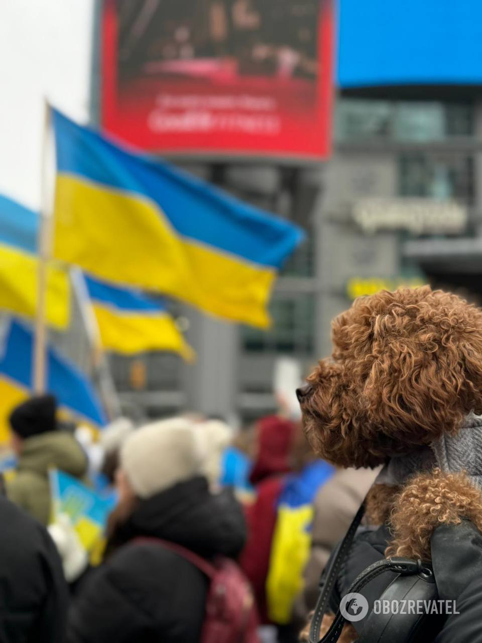 Ukrainians around the world hold rallies demanding increased military aid to Ukraine. Photos