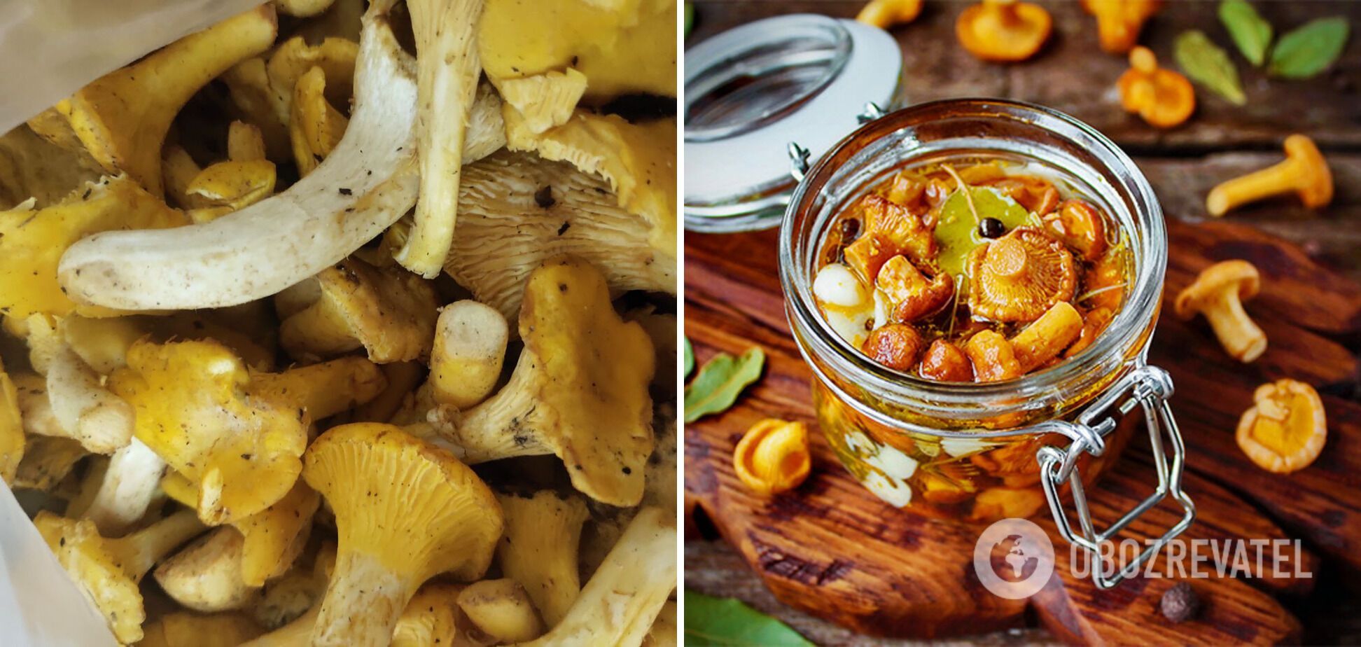 Chanterelles with cinnamon.