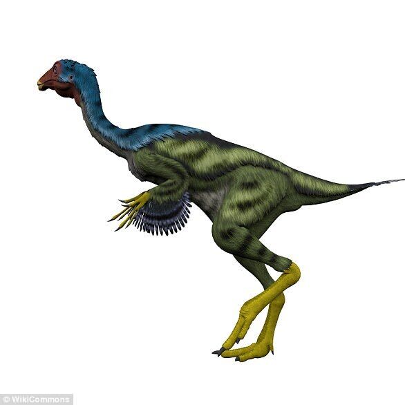 US student accidentally discovers new dinosaur species: what 'Chicken from Hell' looks like