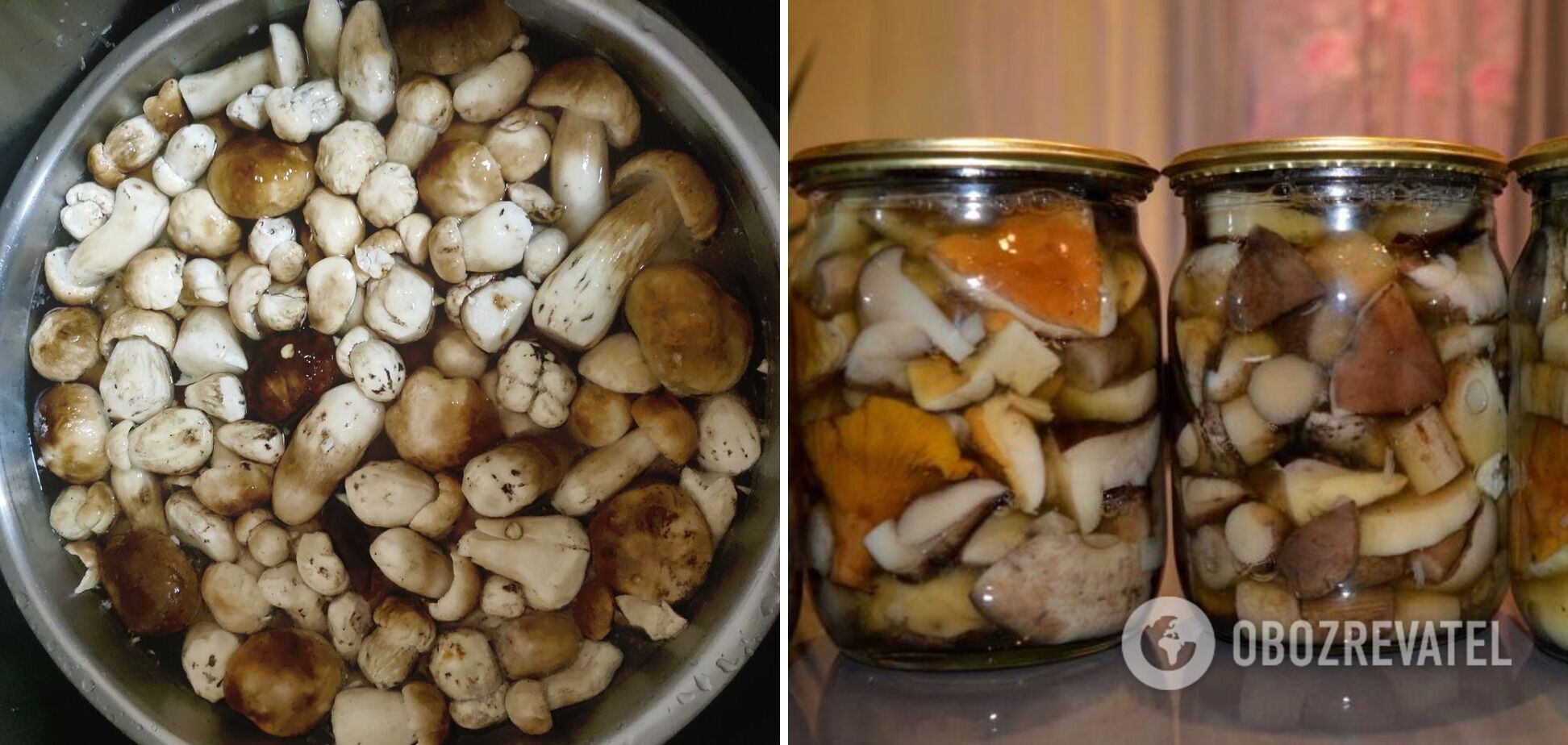 Bay bolete with cloves.