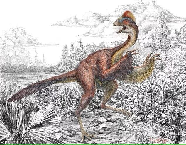 US student accidentally discovers new dinosaur species: what 'Chicken from Hell' looks like