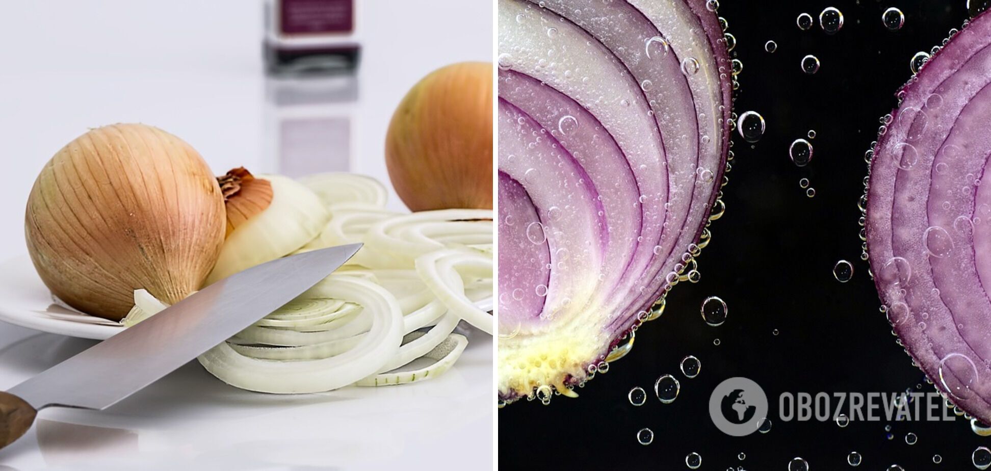 Onions for the dish