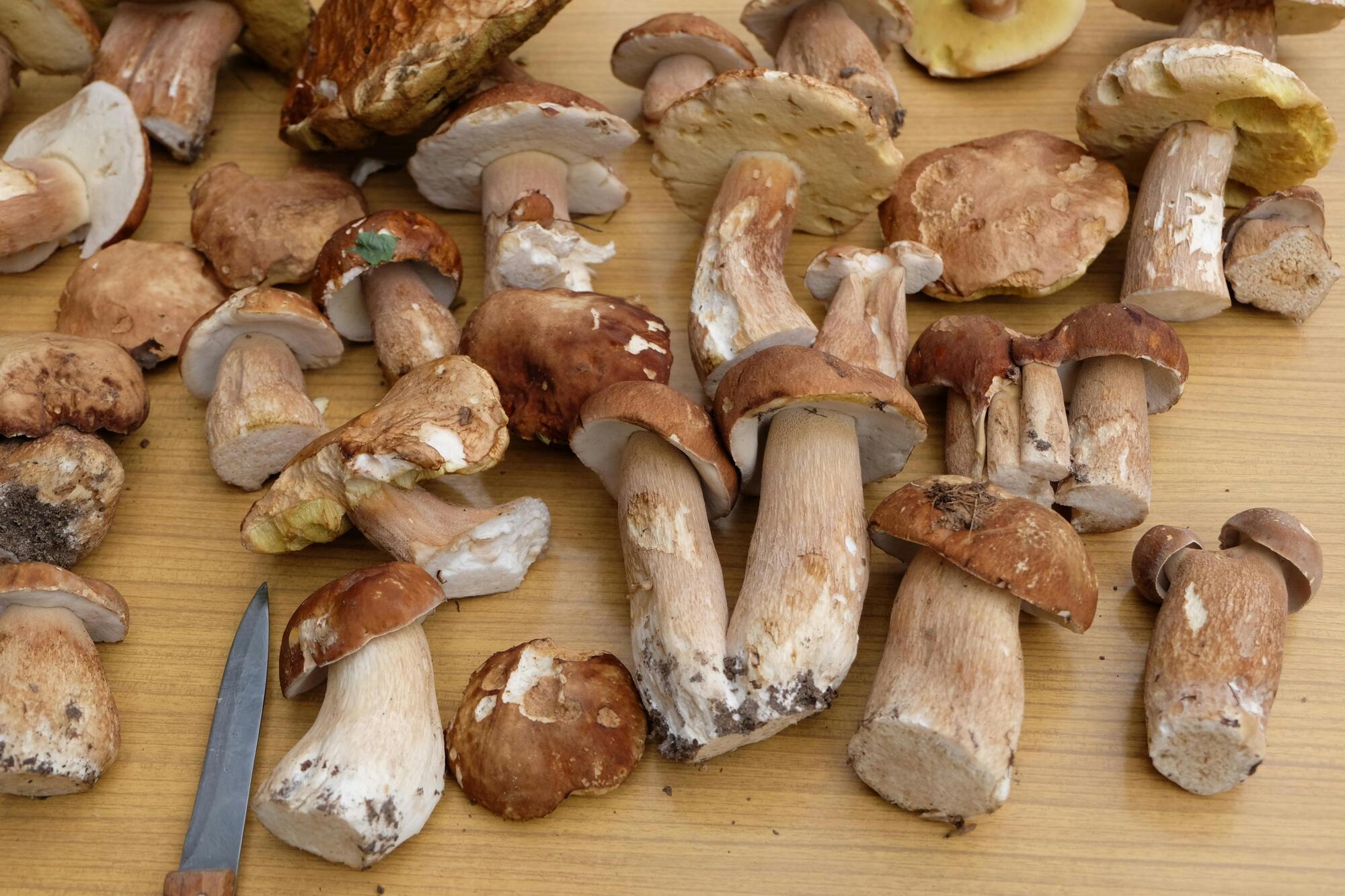 Porcini mushrooms.