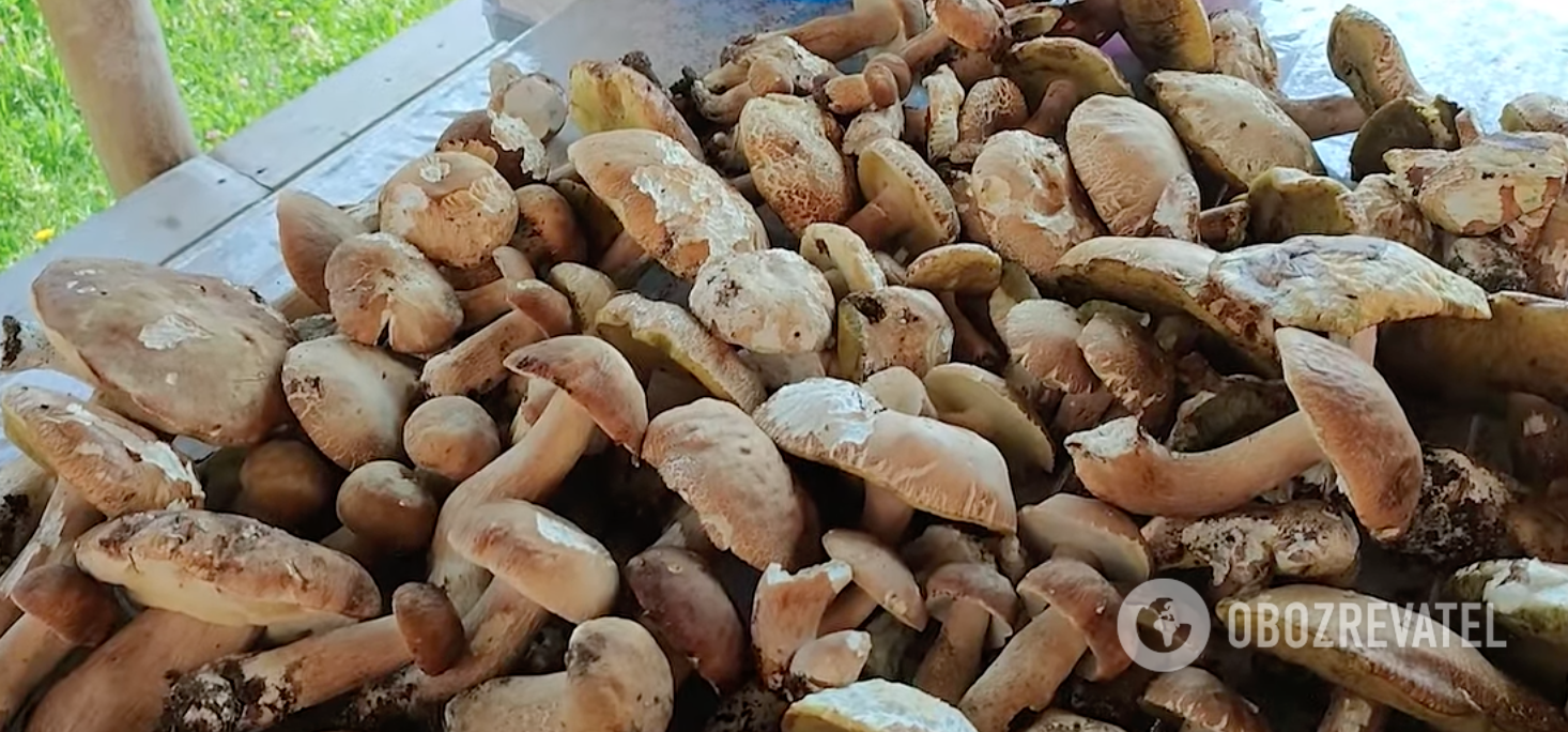 How to dry porcini mushrooms.