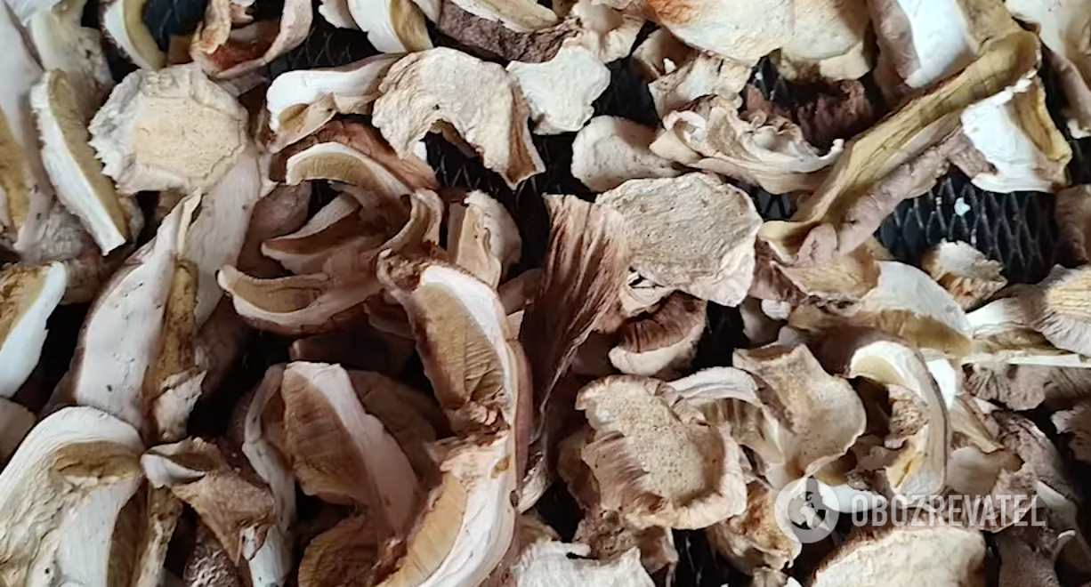 Dried mushrooms.