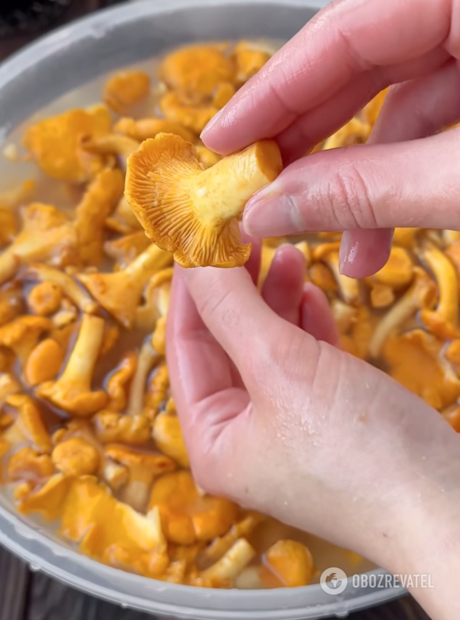 Chanterelles for the dish