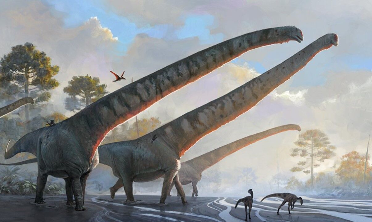 Wideo z drona pokazuje najdłuższe na świecie ślady dinozaurów, które żyły 150 milionów lat temu