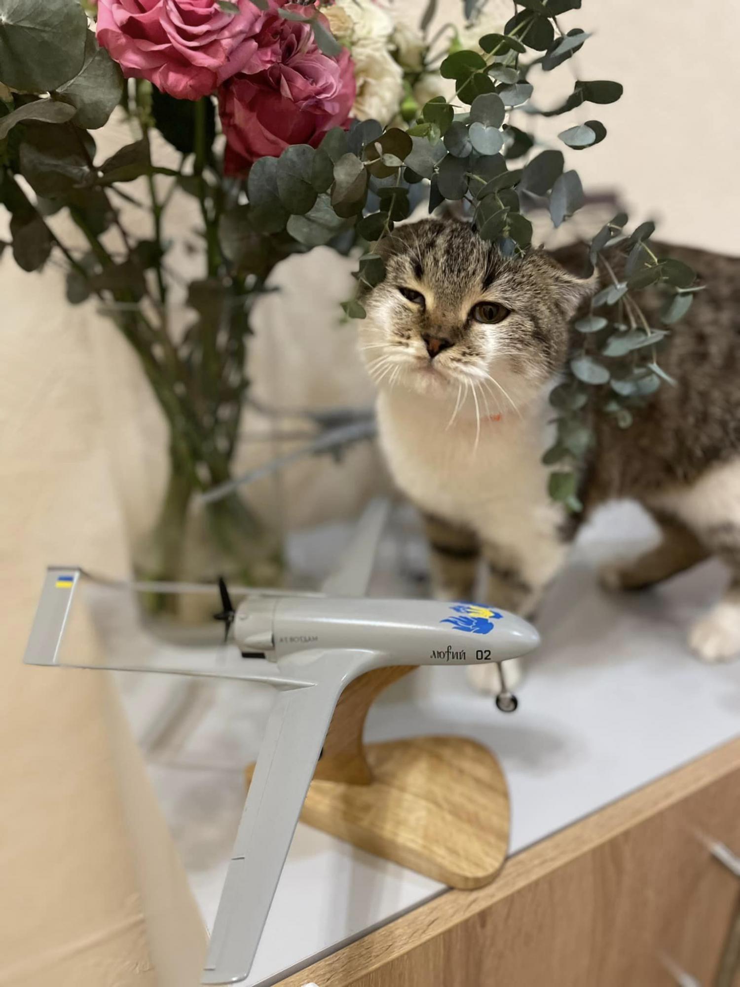 Broń zemsty, która przeraża Rosję: co wiadomo o dronach ''Luty'', które zaatakowały lotnisko wojskowe w Adygei? Zdjęcie