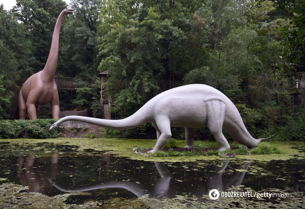 Wideo z drona pokazuje najdłuższe na świecie ślady dinozaurów, które żyły 150 milionów lat temu
