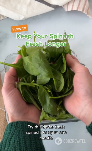 How to store spinach so that it does not wilt for a month: a simple technique