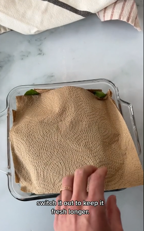 How to store spinach so that it does not wilt for a month: a simple technique