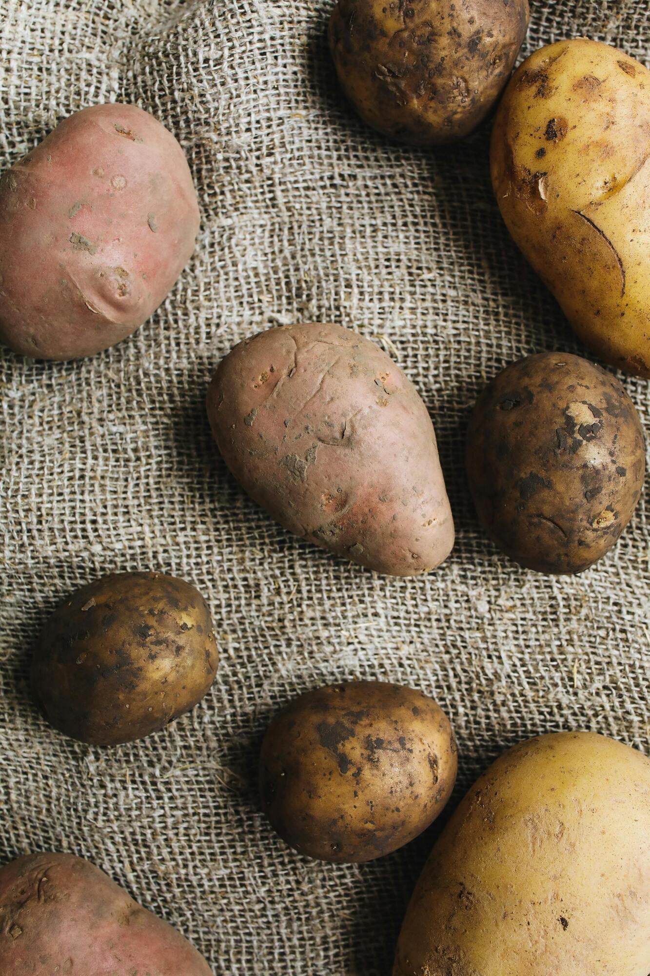 The best place to store potatoes: usually people avoid it