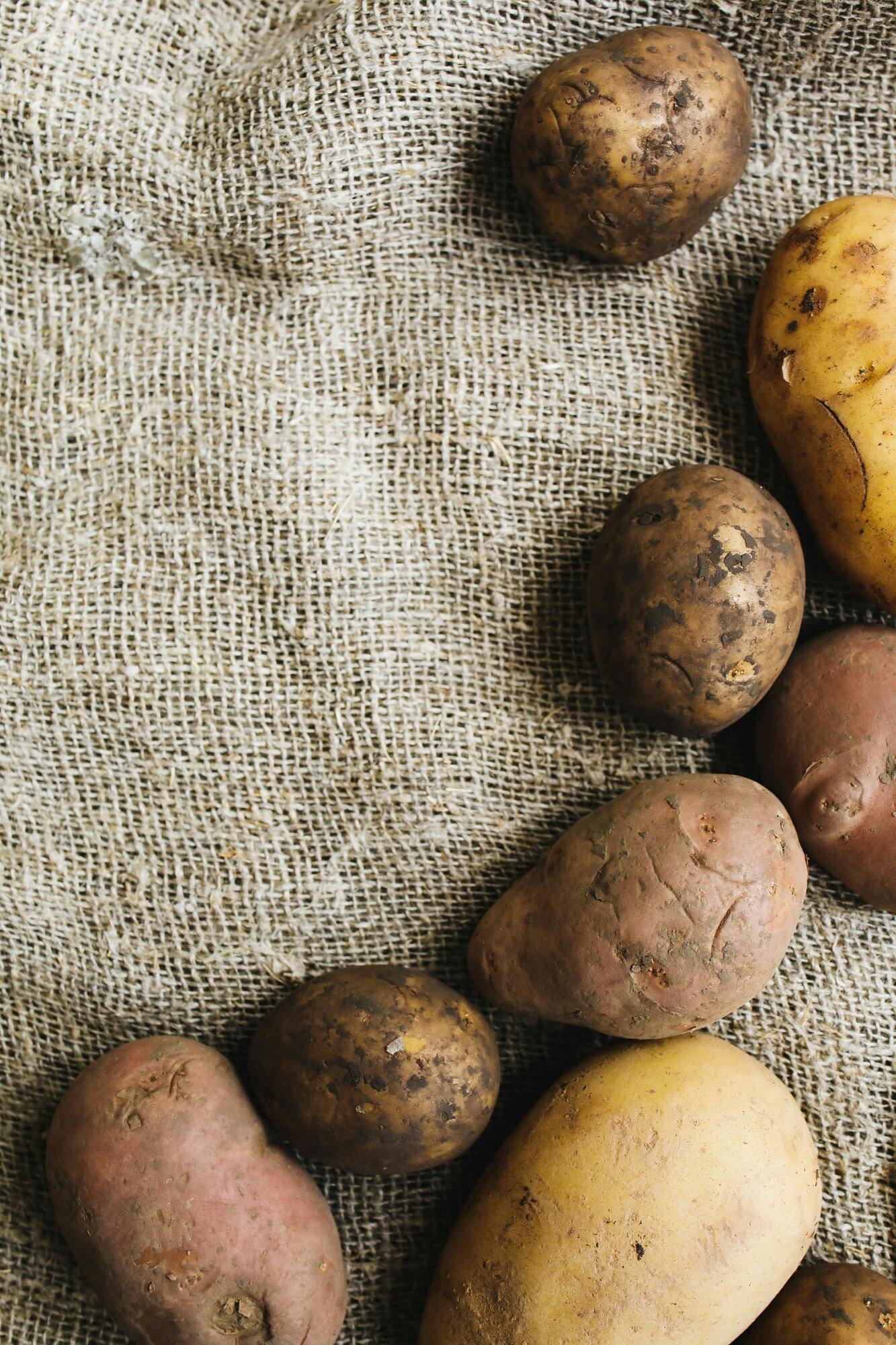 The best place to store potatoes: usually people avoid it