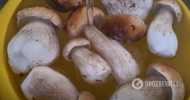 How to dry mushrooms so that they are stored for a long time