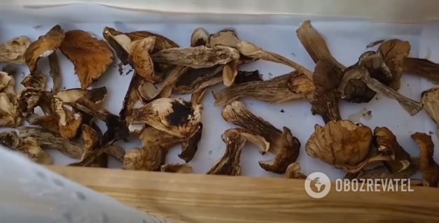 How to dry mushrooms so that they are stored for a long time