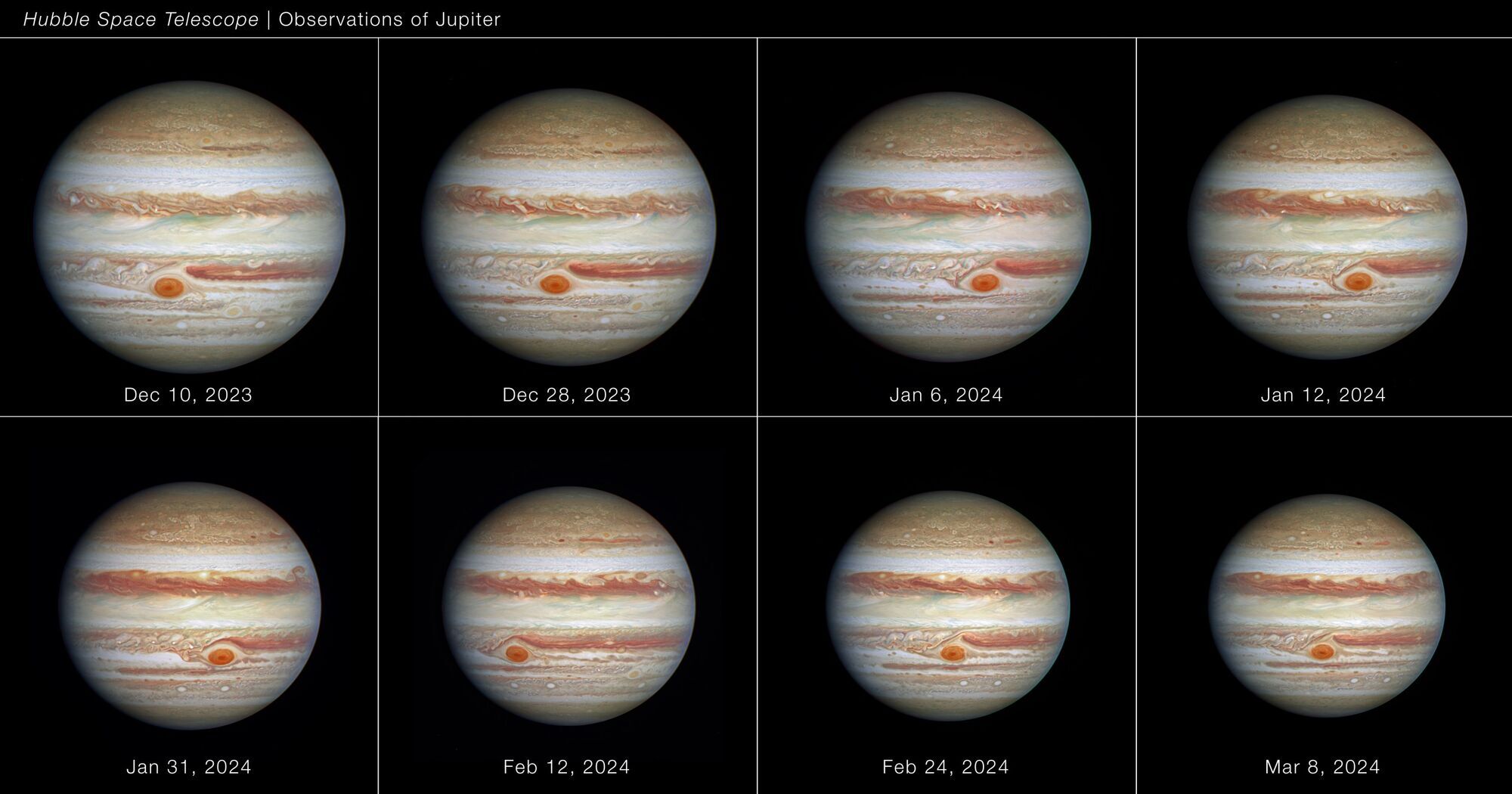 Hubble detects ''wiggling'' of the Great Red Spot on Jupiter: what is this formation that is larger than the Earth