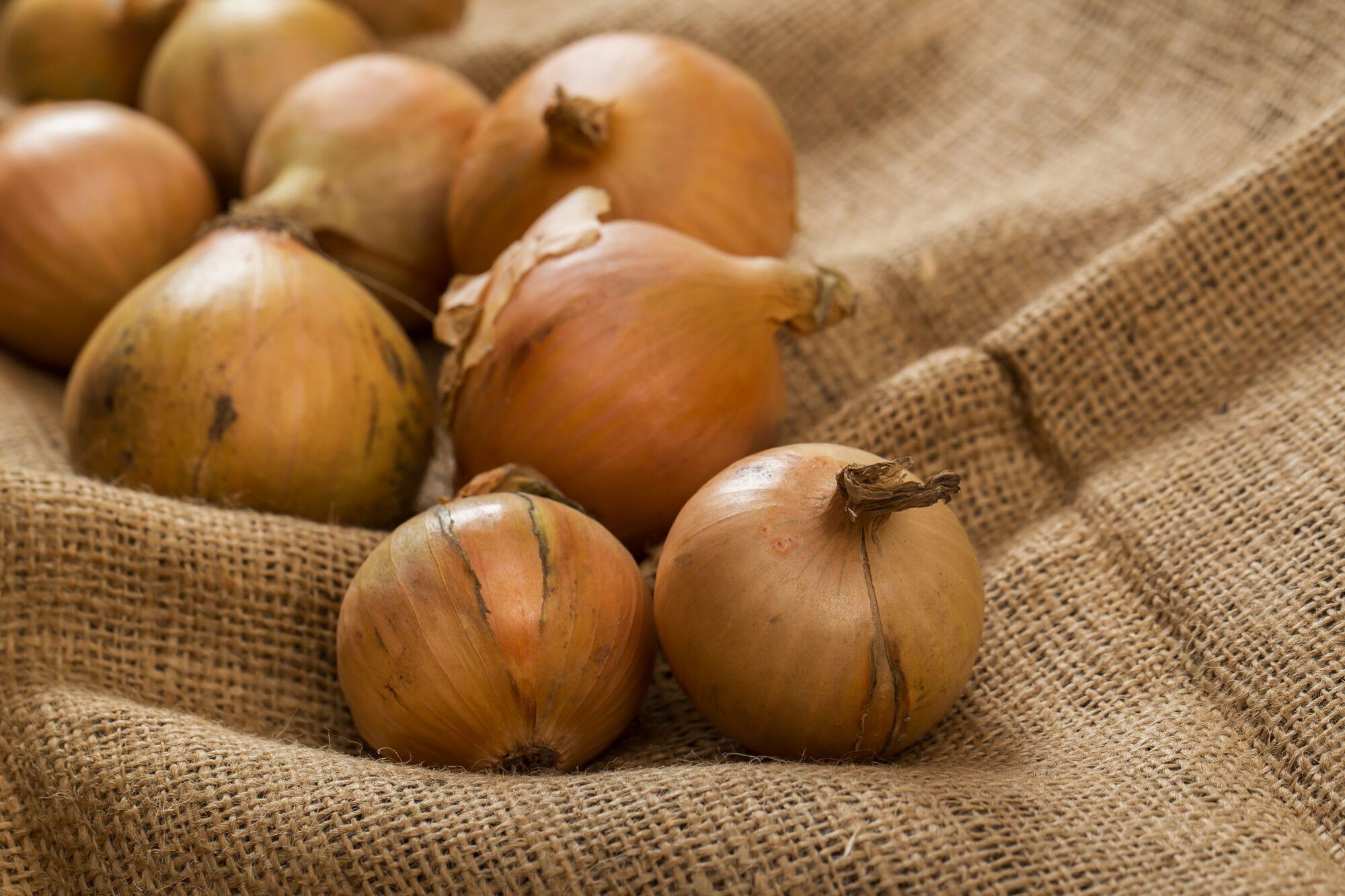 Never eat onions if they are like this: how to determine that the vegetable has spoiled