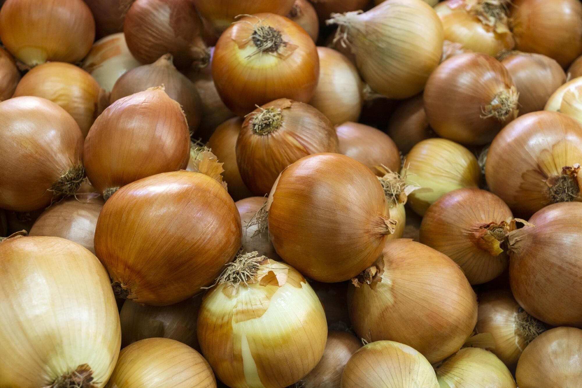 Never eat onions if they are like this: how to determine that the vegetable has spoiled