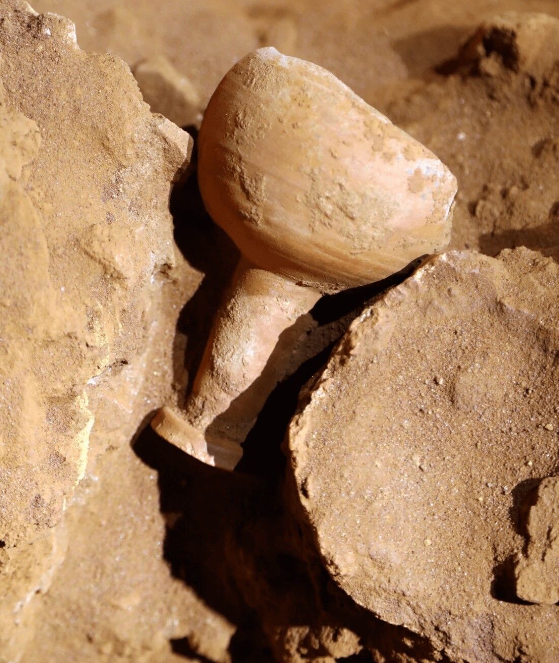 A secret tomb with the ''Holy Grail'' and human remains discovered at the Indiana Jones filming site. Photo