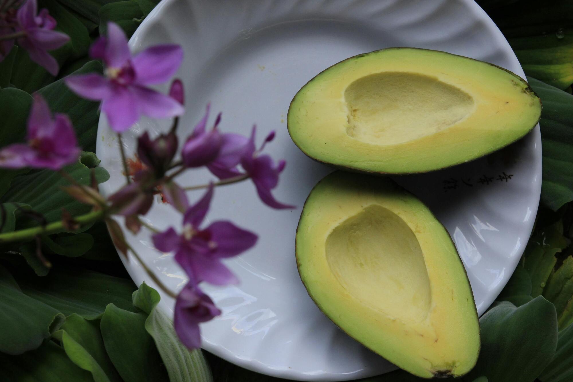 What to cook with avocado.