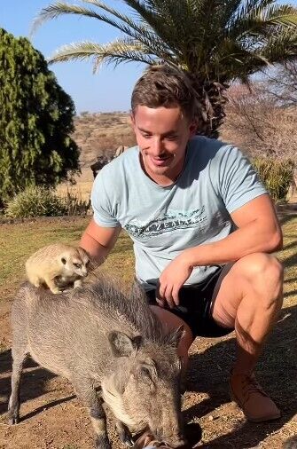 Timon and Pumba are real! The main characters from The Lion King cartoon found in a Namibian reserve: video goes viral