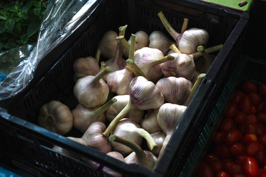 How to plant garlic for the winter: rules and all conditions