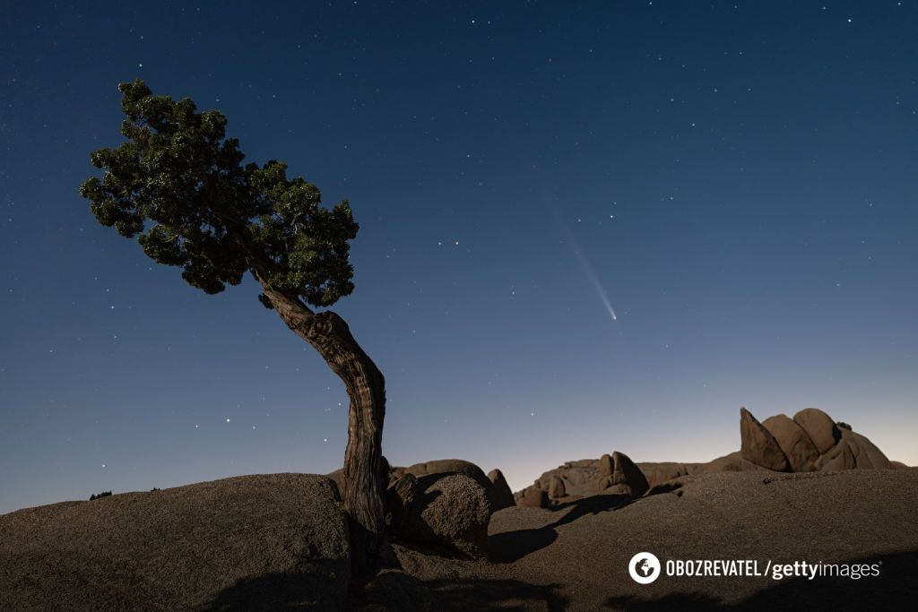 It flies by once every 80 thousand years. 10 brightest photos of Comet ATLAS, which was seen even in Ukraine