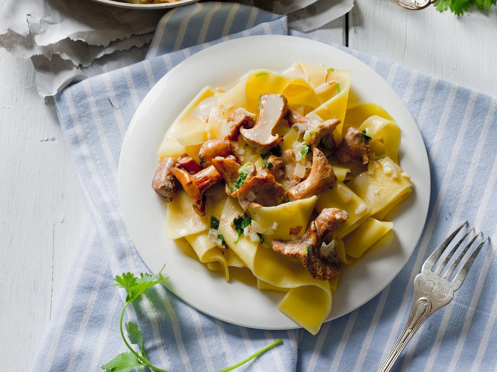 What wild mushrooms should not be frozen because they will become bitter: expert explains